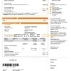 orange vibes universal multipurpose utility utility bill template in Word and PDF format