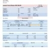 origin check universal multipurpose utility bill template in Word and PDF format