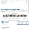 picnic iconic universal multipurpose utility bill template in Word and PDF format