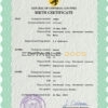 Authentic plug universal Birth Certificate PSD Template | Customize and Download Online