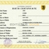 Authentic power universal Birth Certificate PSD Template | Customize and Download Online