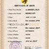 Customizable scope Death Certificate PSD Templates | Instant Download