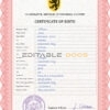 Authentic scribe universal Birth Certificate PSD Template | Customize and Download Online