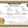 smart universal Marriage Certificate | Editable PDF Templates