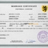 snapshot universal Marriage Certificate | Editable PSD Templates