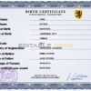 Authentic stance universal Birth Certificate PSD Template | Customize and Download Online