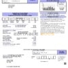surface project universal multipurpose utility bill template in Word and PDF format