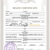 Customizable Sustaine Solution Vital Record Universal Death Certificate PSD Templates | Instant Download