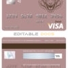 Fillable tigarara universal visa card Templates | Layer-Based PSD