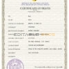Customizable trust Death Certificate PSD Templates | Instant Download