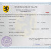 Customizable United Universal Death Certificate PSD Templates | Instant Download