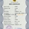 Authentic universbia universal Birth Certificate PSD Template | Customize and Download Online