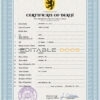 Customizable variety Death Certificate PSD Templates | Instant Download