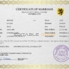 viewfinder universal Marriage Certificate | Editable PSD Templates