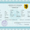 Authentic voice universal Birth Certificate PSD Template | Customize and Download Online