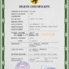 Customizable wisdom Death Certificate PSD Templates | Instant Download