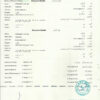 Easily Customize Pakistan Divorce Certificate with Realistic word Templates (VERSION2)
