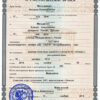 Easily Customize Russia Divorce Certificate with Realistic word Templates