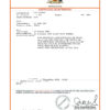 Easily Customize chile Divorce Certificate with Realistic word Templates