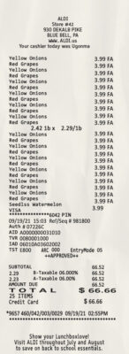 Fake ALDI STORE Receipt