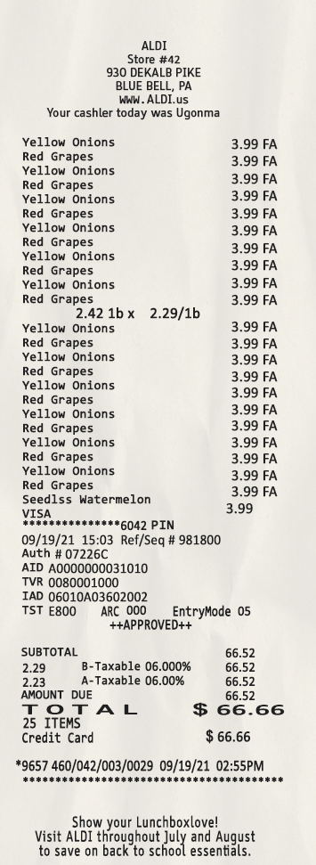 Fake ALDI STORE Receipt