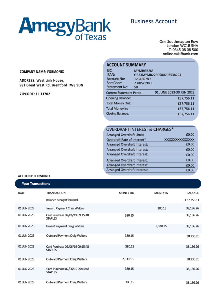 Fake Amegy Corporation Business Bank Statement