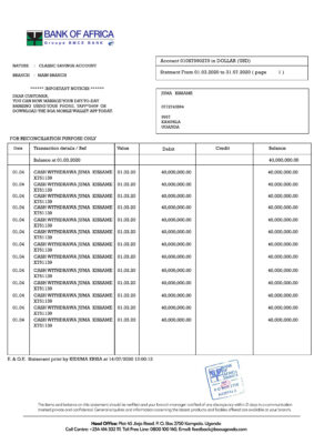 Fake Bank of Africa Business Bank Statement
