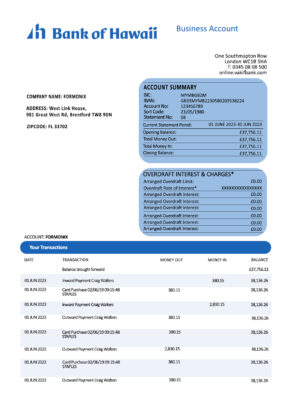 Fake Bank of Hawaii firm Business Bank Statement