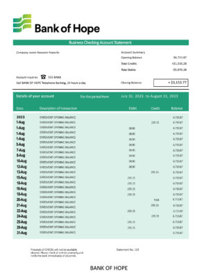 Fake Bank of Hope Business Bank Statement