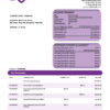Fake Banque Internationale a Luxembourg Business Bank Statement