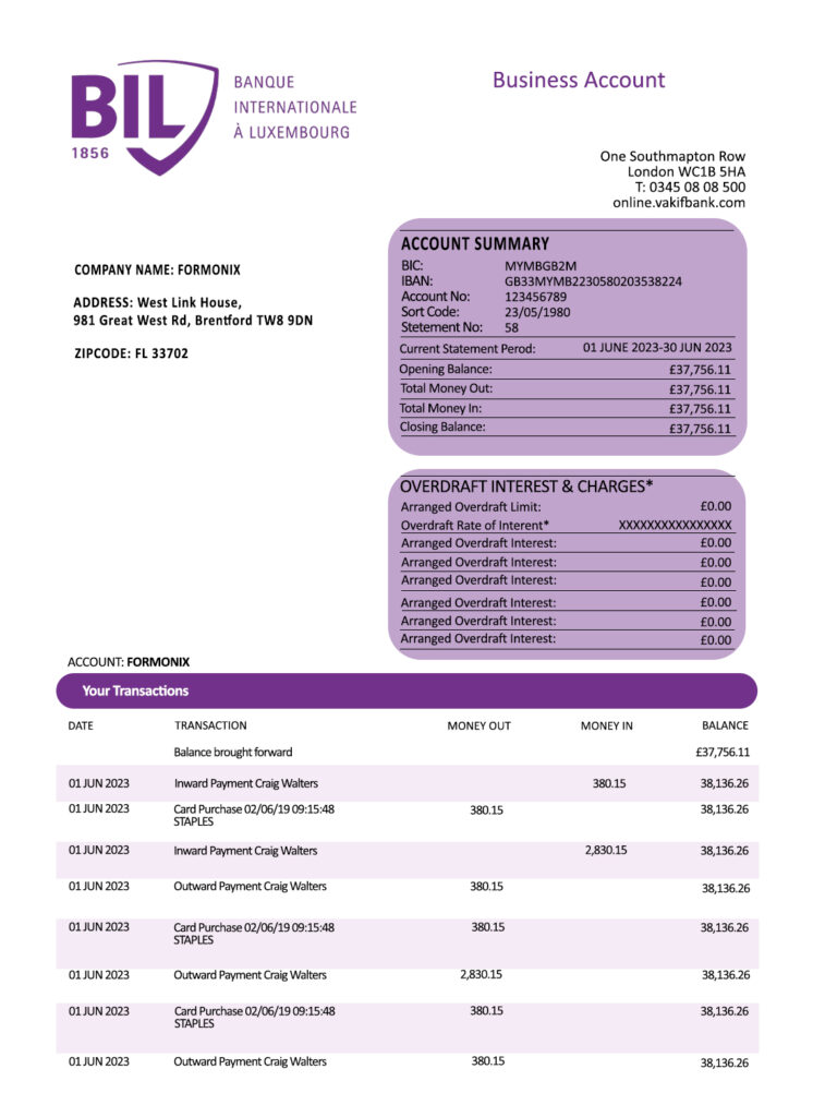 Fake Banque Internationale a Luxembourg Business Bank Statement