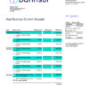 Fake Banrisul Business Bank Statement