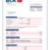 Fake Bcr Business Bank Statement
