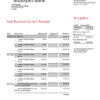 Fake Boubyan Business Bank Statement