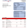 Fake California Bank & Trust organization checking Business Bank Statement