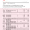 Fake Chiba Business Bank Statement