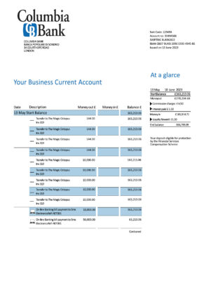Fake Columbia Business Bank Statement version1