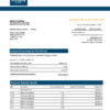 Fake First Bank of Nigeria firm Business Bank Statement