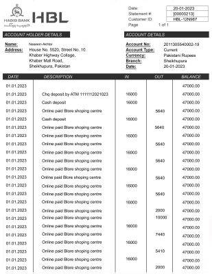 Fake HBL Business Bank Statement