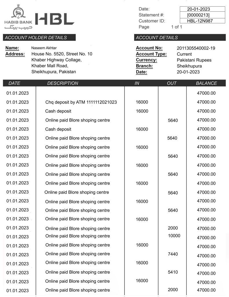 Fake HBL Business Bank Statement