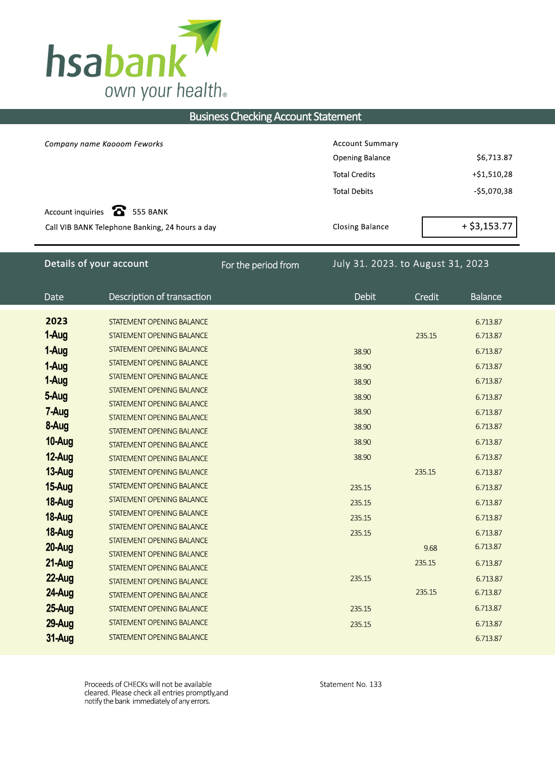 Fake HSA Business Bank Statement