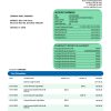 Fake Interbank organization Business Bank Statement