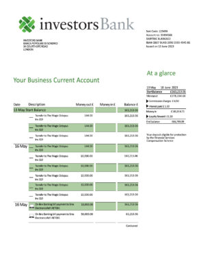 Fake Investors Business Bank Statement