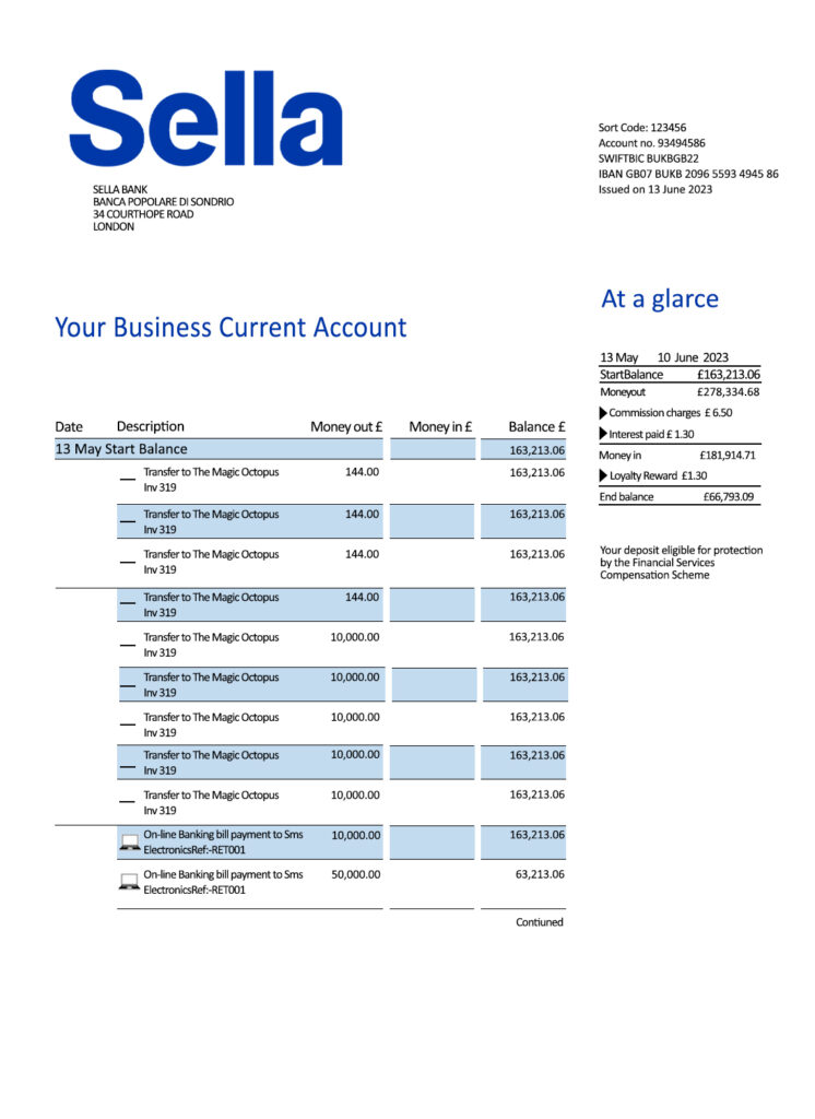 Fake Sella Business Bank Statement