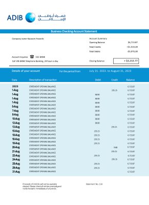 Fake ABU Dhabi Islamic Business Bank Statement