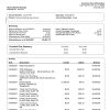 Fake ALLY Business Bank Statement