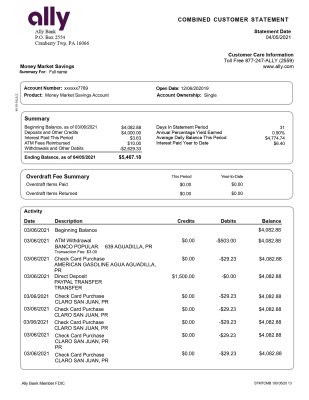Fake ALLY Business Bank Statement