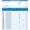 Fake ARAB Nationa Business Bank Statement