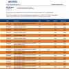Fake Access Business Bank Statement