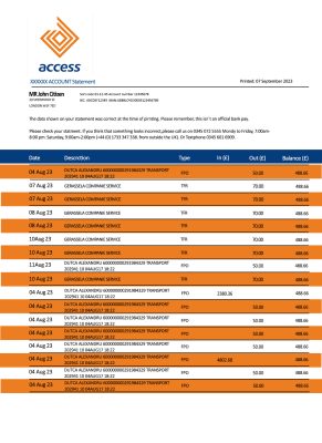 Fake Access Business Bank Statement